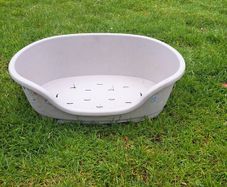 dog bed