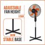 Stand Fan Pedestal fan 16" Oscillating free stand fan Floor fan adjustable height Black & Orange (FREE SHIPPING) Image 5