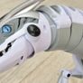 Roboraptor Dinosaur with remote control Image 2