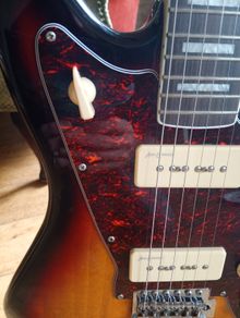 Revelation RJT-60 Offset Guitar