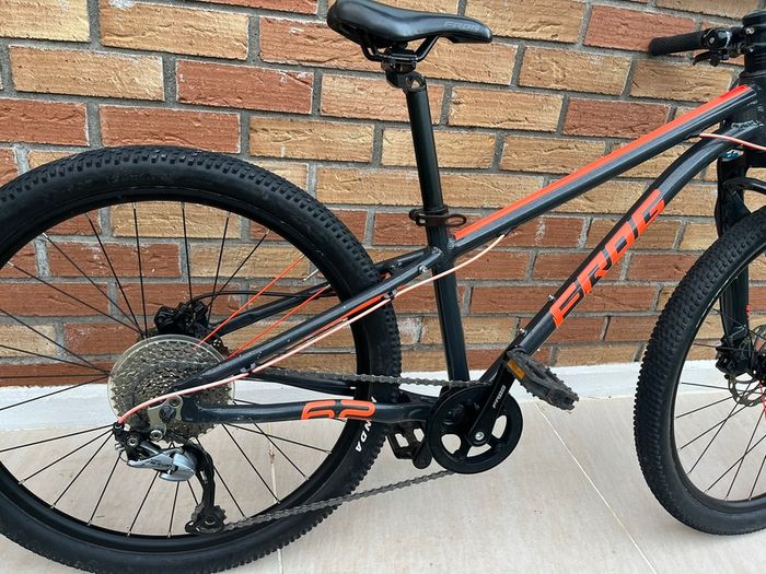 Frog Mountain Bike