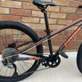 Frog Mountain Bike Image 6