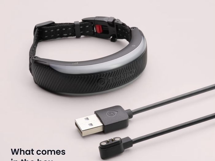 Tractive Cat Mini 6 Subscription Included