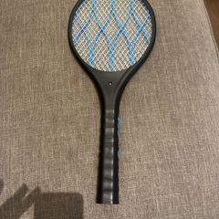 Electric fly swatter