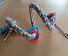 Pet toy