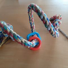 Pet toy