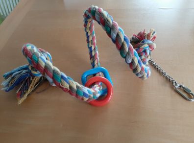 Pet toy