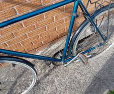 adults bike