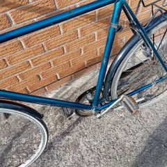 adults bike