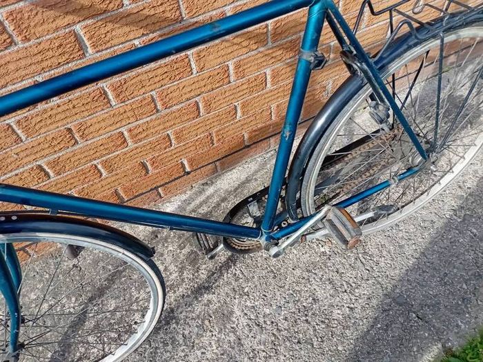 adults  bike