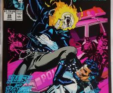 Punisher War Journal #29 Ghost Rider Appearance (1991)