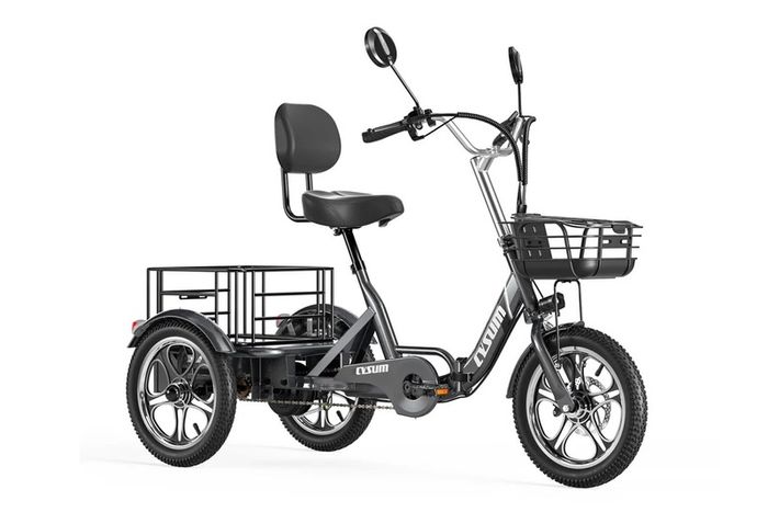Electric Tricycle Bike Cargo Bike with free delivery