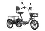 Electric Tricycle Bike Cargo Bike with free delivery