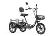 Electric Tricycle Bike Cargo Bike with free delivery