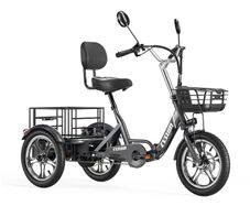 Electric Tricycle Bike Cargo Bike with free delivery