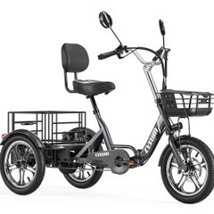 Electric Tricycle Bike Cargo Bike with free delivery