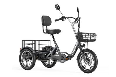 Electric Tricycle Bike Cargo Bike with free delivery