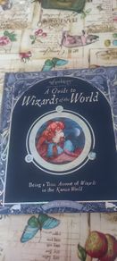 book on wizards