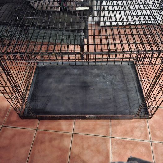 dog crate