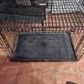 dog crate Image 4
