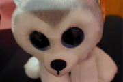 Ty Buff Husky Beanie Boo; Soft Toy (999)  (A7)  2