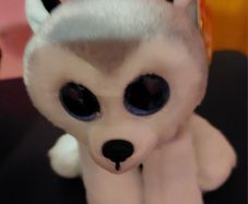 Ty Buff Husky Beanie Boo; Soft Toy (999)  (A7)  2