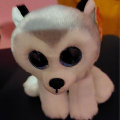 Ty Buff Husky Beanie Boo; Soft Toy (999)  (A7)  2