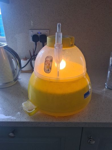 egg incubator
