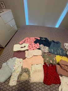Large baby girl bundle 0-3
