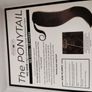 easilocks clip in ponytail Image 2