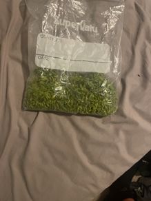 Fennel seeds