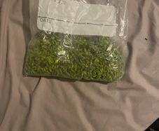 Fennel seeds