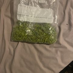 Fennel seeds