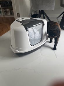 Cats tray