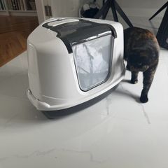 Cats tray