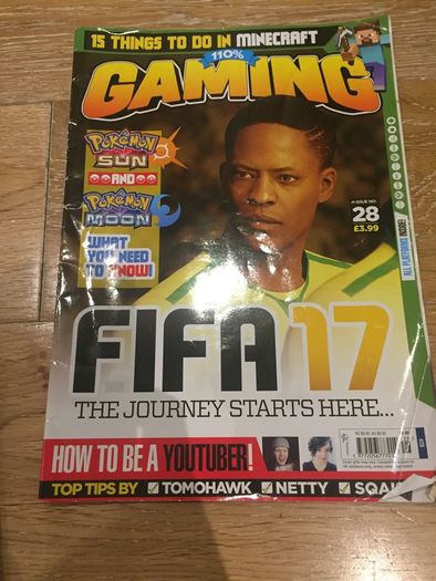 11 Gaming Magazines 110% Gaming