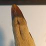 Mid Nineteenth Century Deer Hoof and Horn Page Turner Image 6