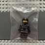 lego ninjago njo0594 Nya minifigure- Sons of Garmadon Image 3