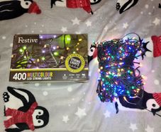 Christmas lights 400
