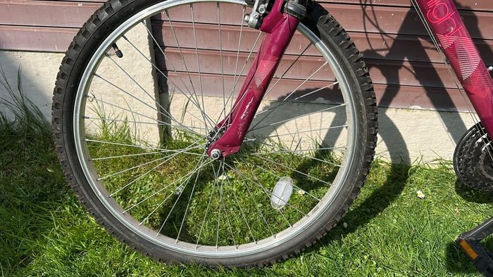 Apollo Twilight Bike - Ladies