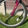 Apollo Twilight Bike - Ladies Image 4