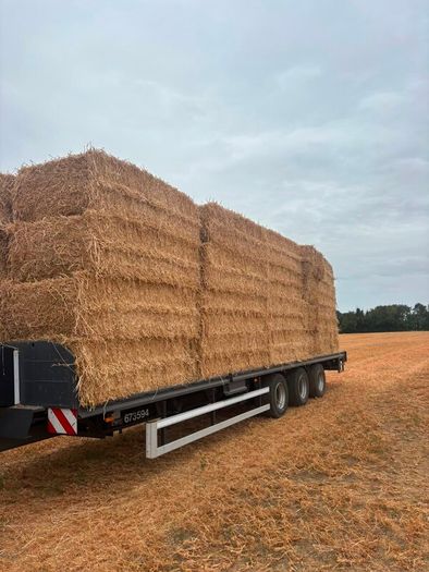 Pea Straw