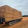 Pea Straw Image 2