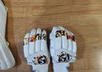 Cricket batting gloves