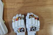 Cricket batting gloves