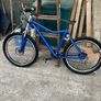 Mountain Bike Image 3