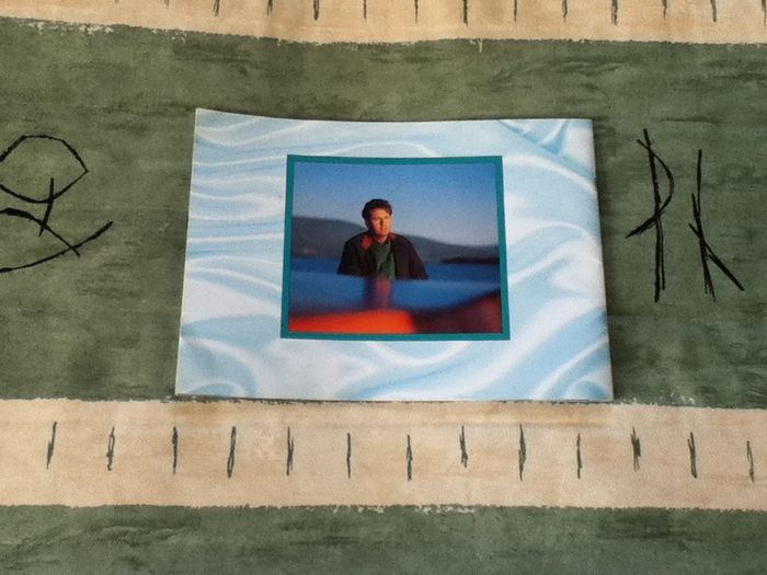 Daniel O Donnell Especially for You Official World Tour 1994 Brochure Irish