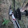 felt road bike Image 4