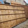 shed Image 7