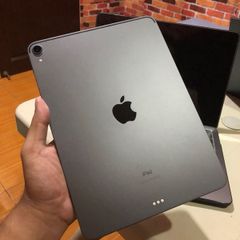 ipad pro cellular